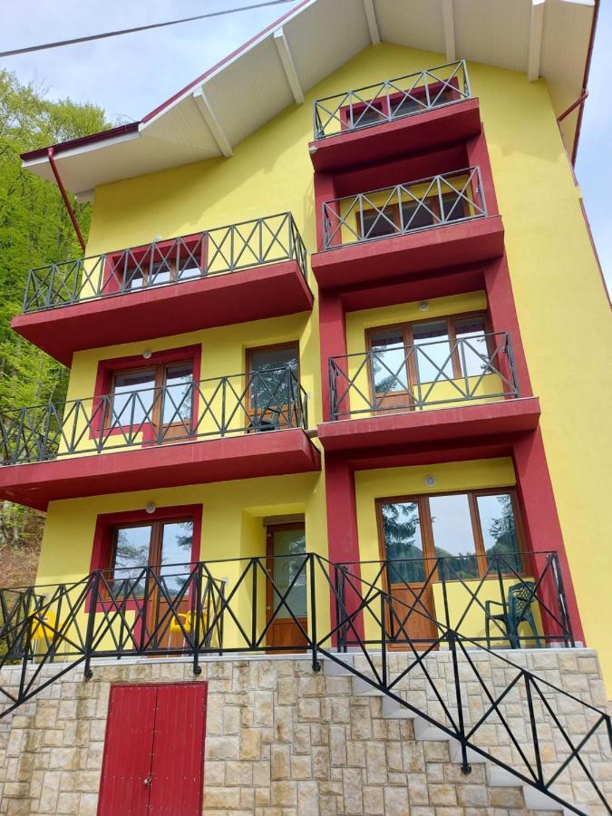 Vila Ioana Hotel Slănic Moldova Exterior foto